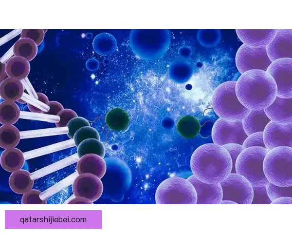 卡卡克9473-84黑尔塞戈瓦茨研究及其应用前沿探索